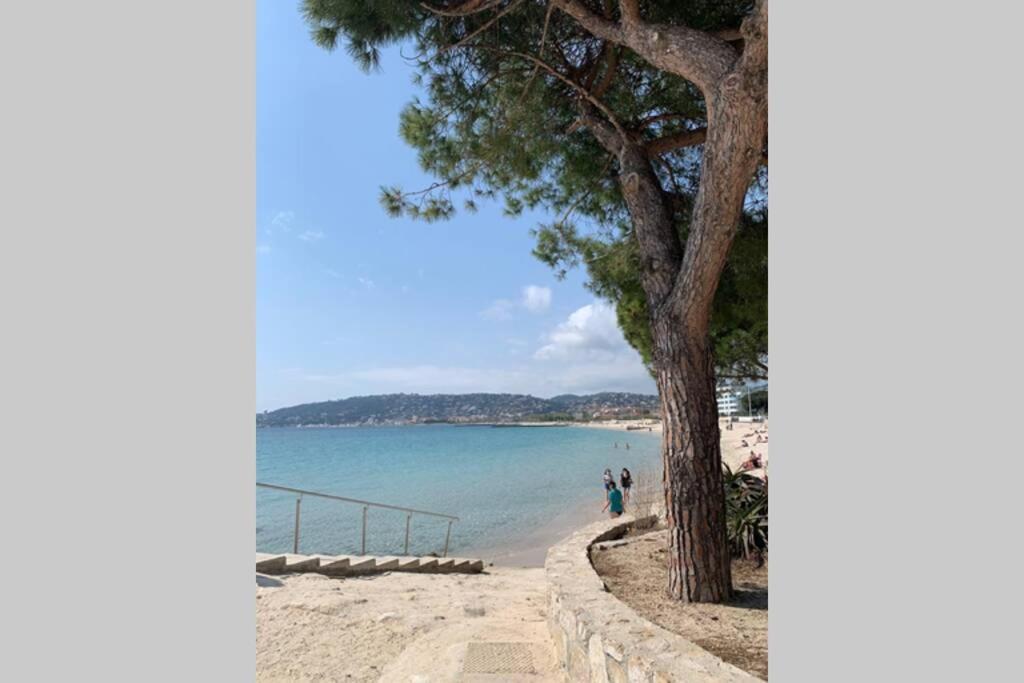 דירות אנטיב Juan Les Pins Joli T2 Parking Inclus! מראה חיצוני תמונה